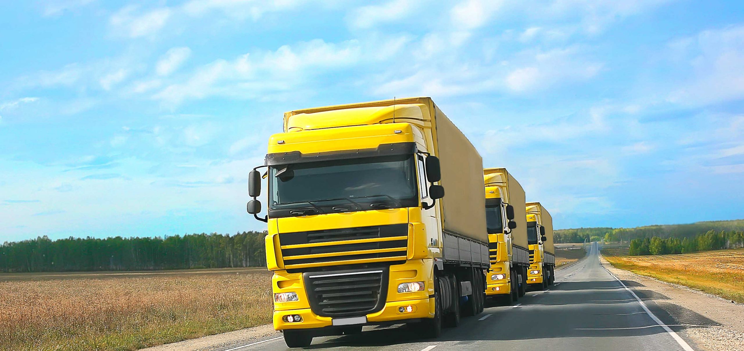 Platooning: one at the fore, all behind one