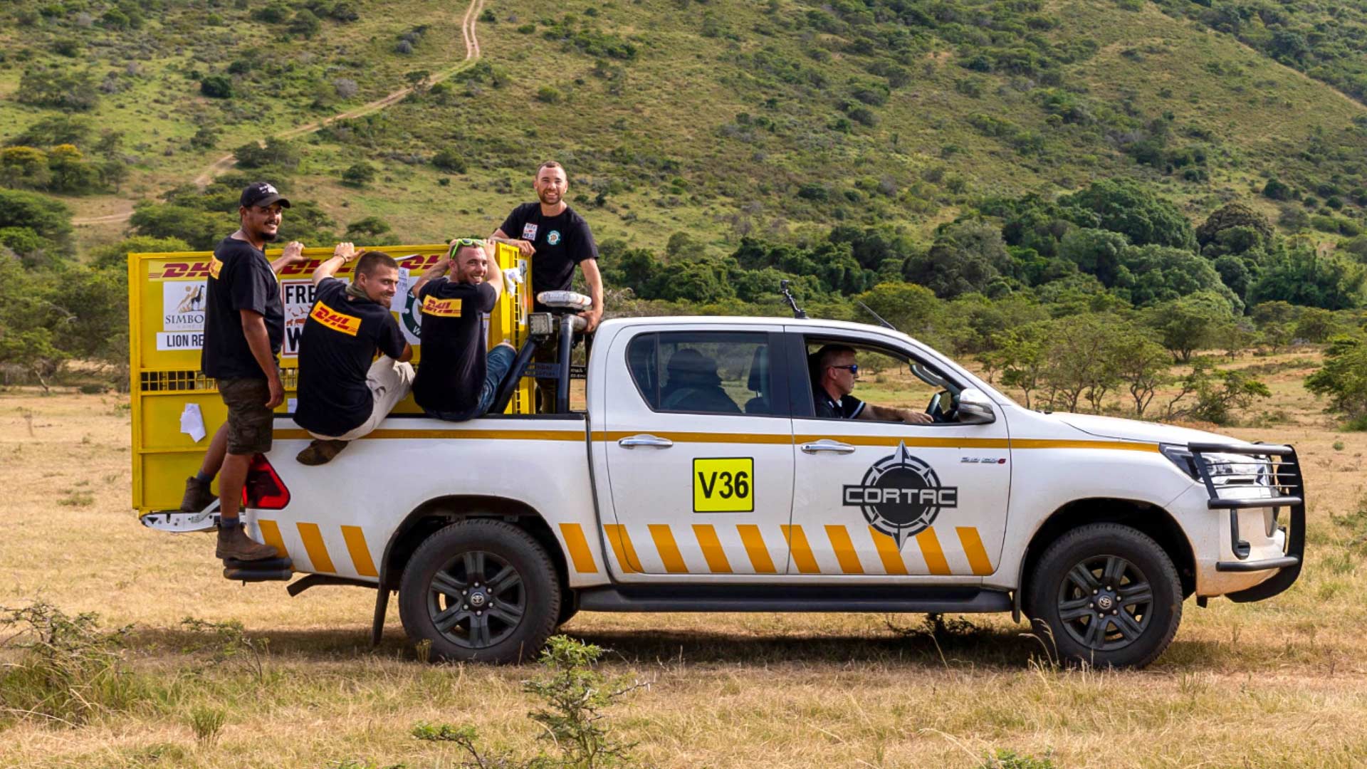 A Future for Big Cats – DHL Lends a Hand